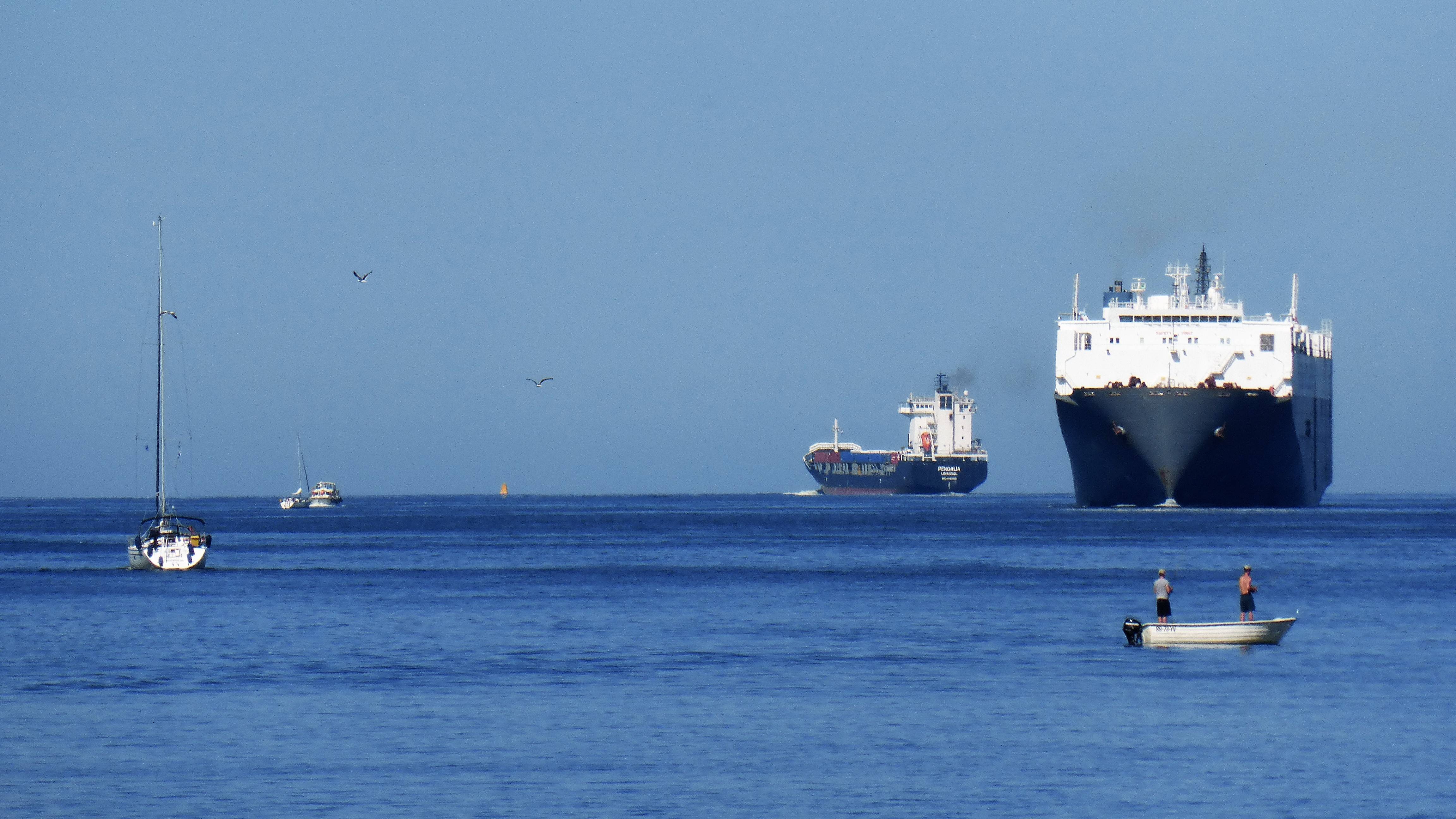 Pieren IJmuiden 15-07-18 